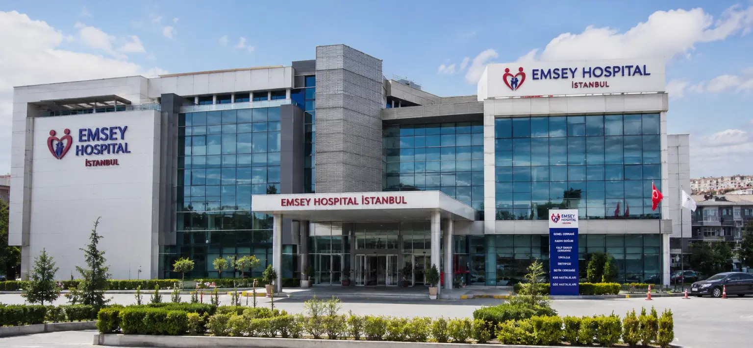 Emsey Hospital, Pendik, Istanbul
