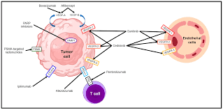 Targeted Molecular Therapy