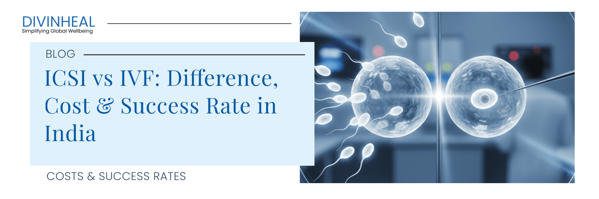 ICSI vs IVF: Which Fertility Treatment Is Right - Image 1