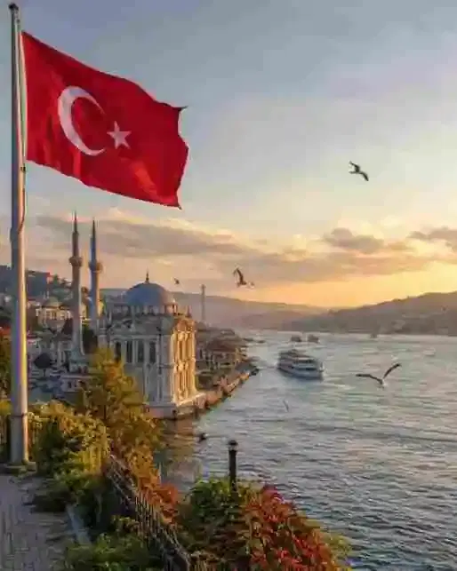 Turkey Turkey