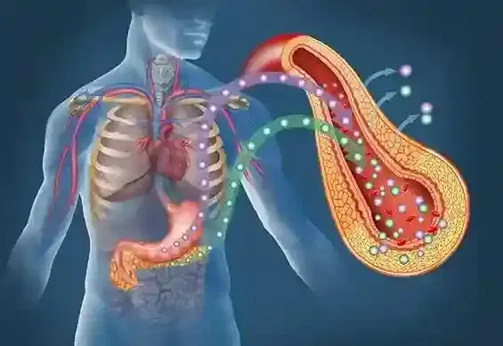 Endocrinology & Diabetes Endocrinology & Diabetes