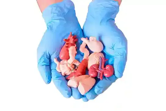 Pre-Transplant Evaluation Package Pre-Transplant Evaluation Package