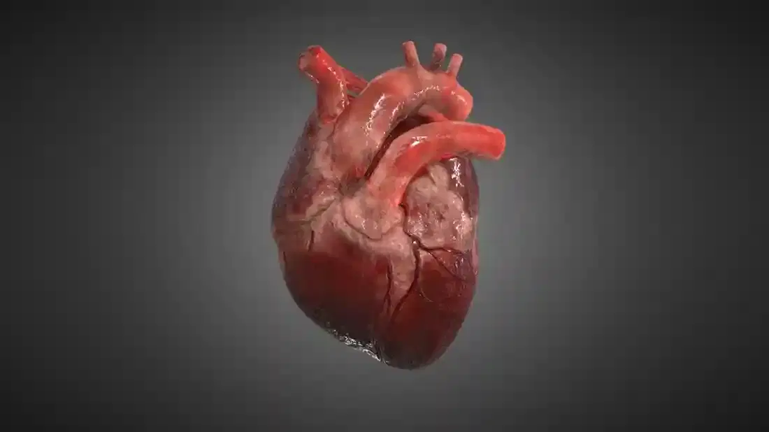 structural heart structural heart