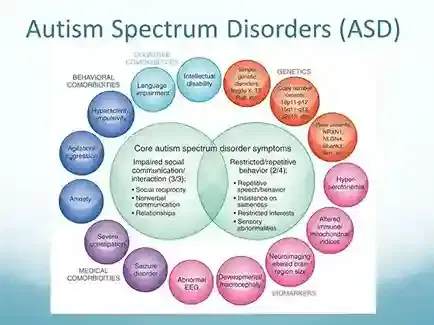 Autism Spectrum Disorder Evaluation Autism Spectrum Disorder Evaluation