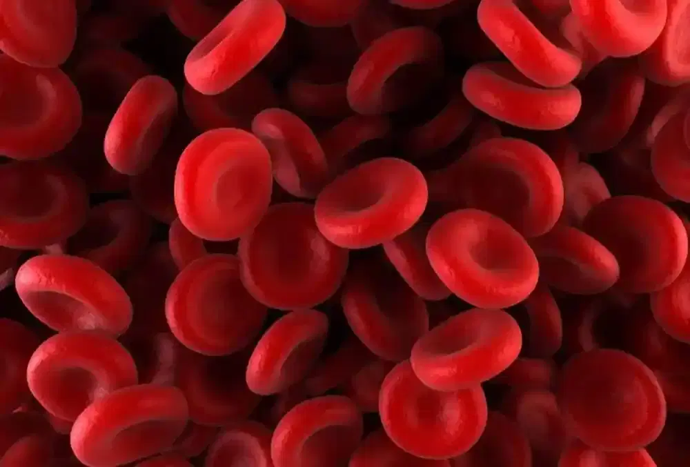 blood cancer treatment blood cancer treatment
