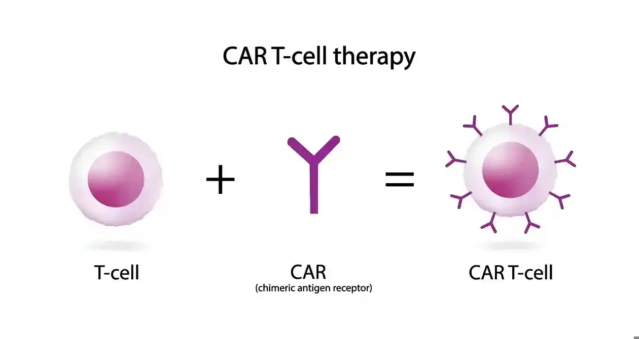 CAR-T Cell Therapy CAR-T Cell Therapy