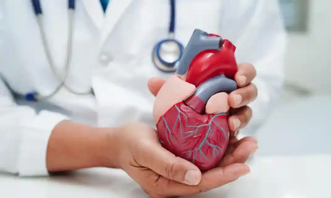 cardiac surgery cardiac surgery