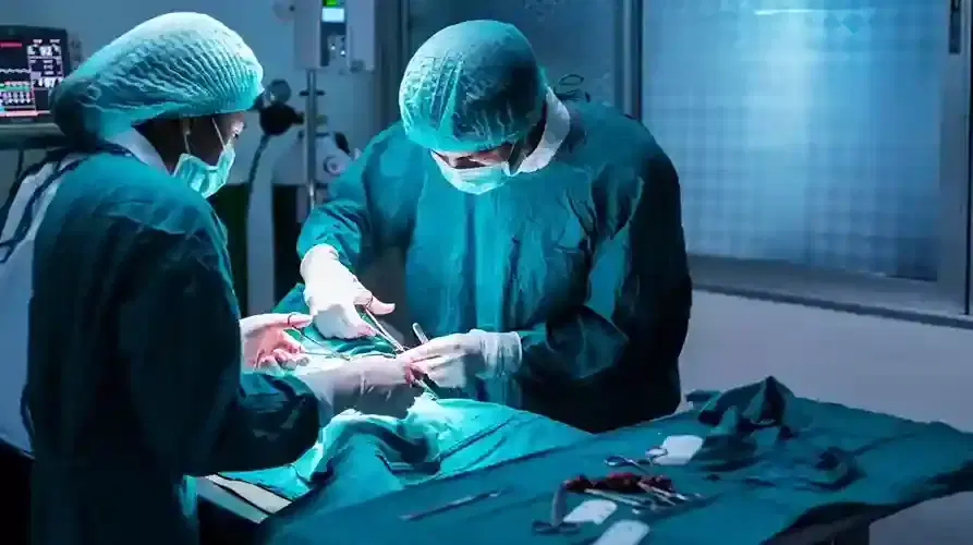 surgical oncology surgical oncology