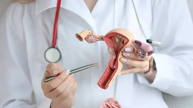 debulking surgery cancer debulking surgery cancer