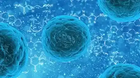 Haploidentical Stem Cell Transplant Haploidentical Stem Cell Transplant