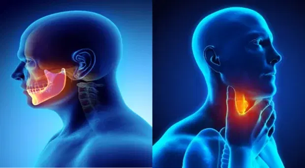 head and neck cancer surgery head and neck cancer surgery